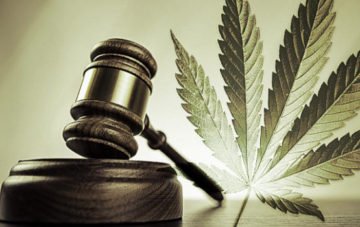 Law